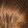 Bitz Hairnets - Heavyweight - Jalex Pet Products 