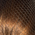 Bitz Hairnets - Standard Twinpack - Jalex Pet Products 