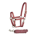 Bitz Stripe Two Tone Headcollar Lead Rope - Jalex Pet Products 