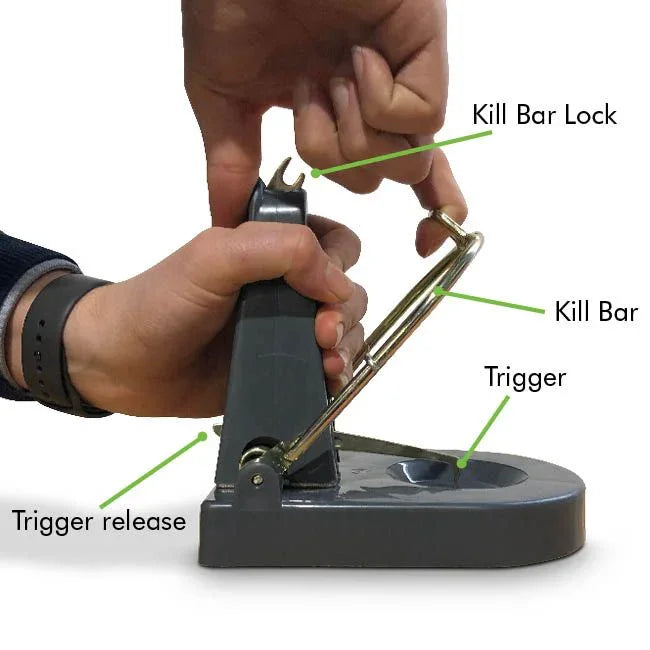 Black Cat Rat Trap - Jalex Pet Products 