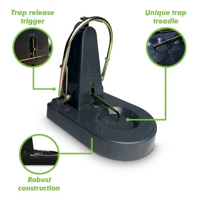 Black Cat Rat Trap - Jalex Pet Products 