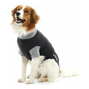 Buster Body Suit For Dogs Black/Grey - Jalex Pet Products 