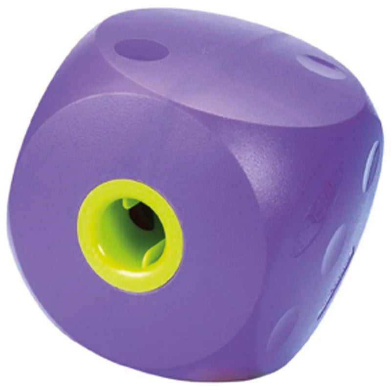 Buster Mini Cube Small - Jalex Pet Products 