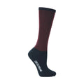 Coldstream Pawston Performance Socks (Single Pack) - Adult 4-8 - Jalex Pet Products 