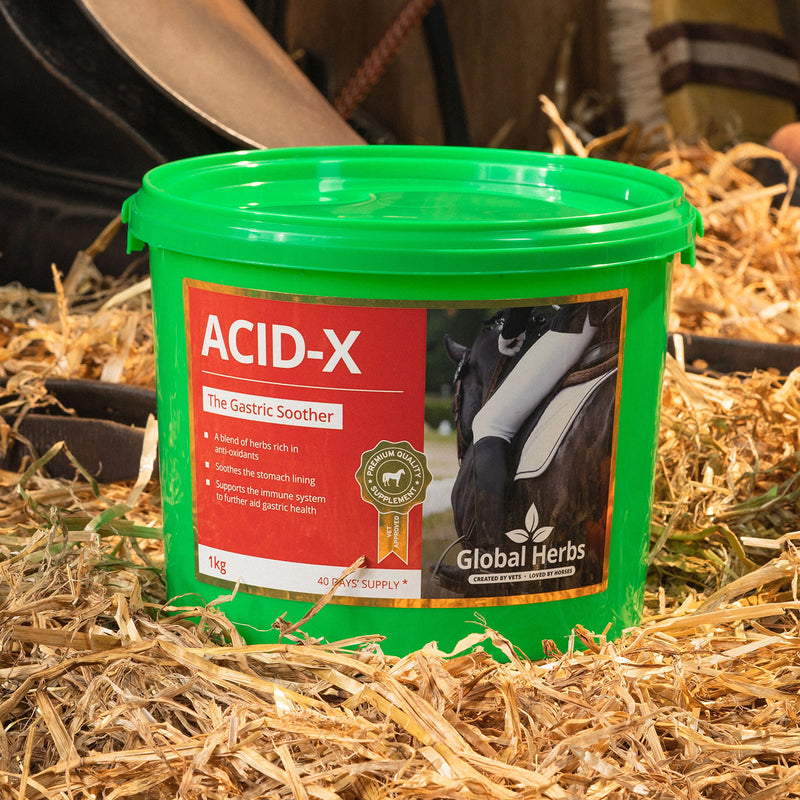 Global Herbs Acid-X - Jalex Pet Products 