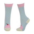 hyfashion cupcake socks (pack of 3) blue tint/pink icing - Jalex Pet Products 
