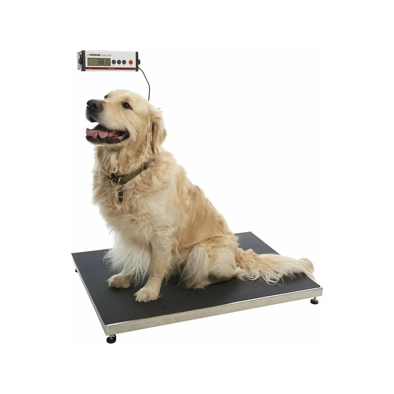 Kruuse Walk-On Scale - Jalex Pet Products 