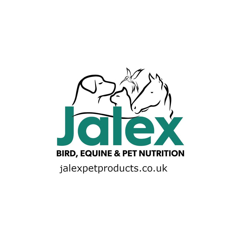 Mark Todd Piped Saddle Pad - Jalex Pet Products 