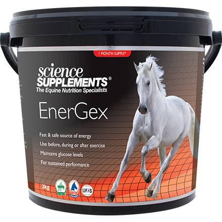 Science Supplements Energex - Horse Energy Supplement