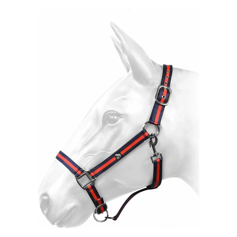 W-Horse Headcollar Harvey - Jalex Pet Products 