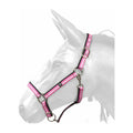 W-Horse Headcollar Harvey - Jalex Pet Products 