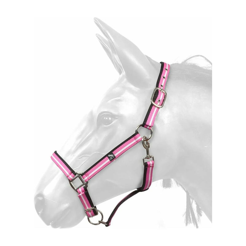 W-Horse Headcollar Harvey - Jalex Pet Products 