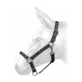 W-Horse Headcollar Harvey - Jalex Pet Products 