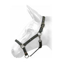W-Horse Headcollar Harvey - Jalex Pet Products 