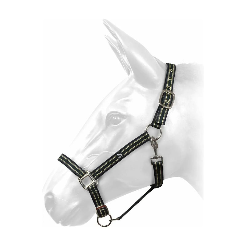 W-Horse Headcollar Harvey - Jalex Pet Products 