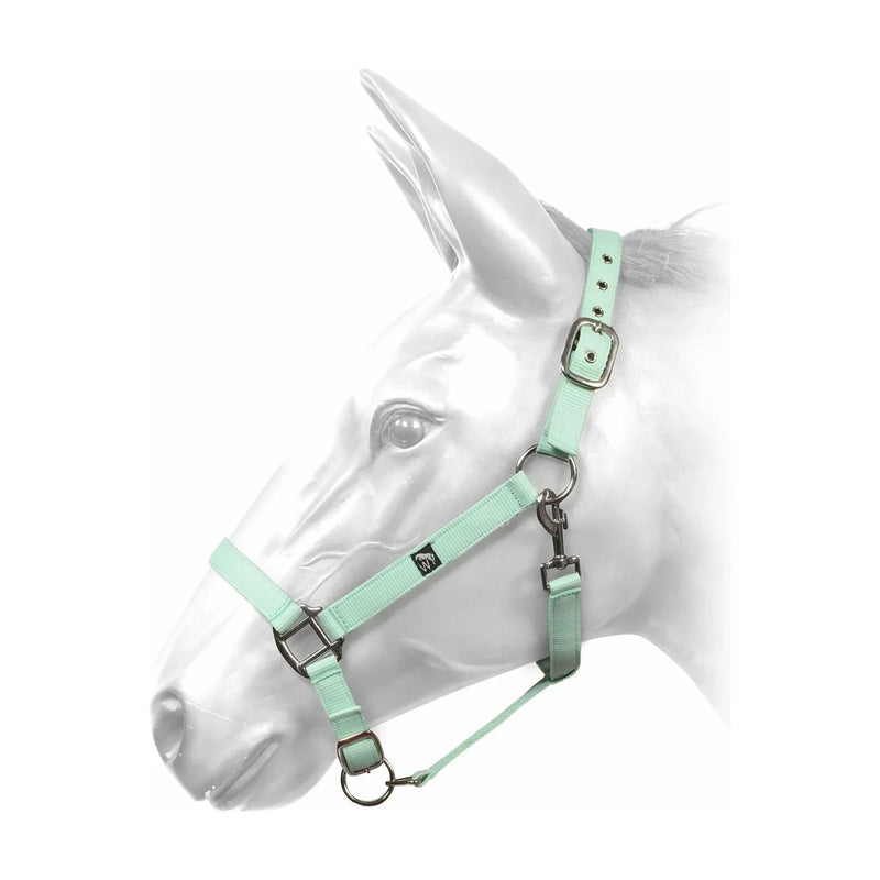 W-Horse Headcollar Harvey - Jalex Pet Products 