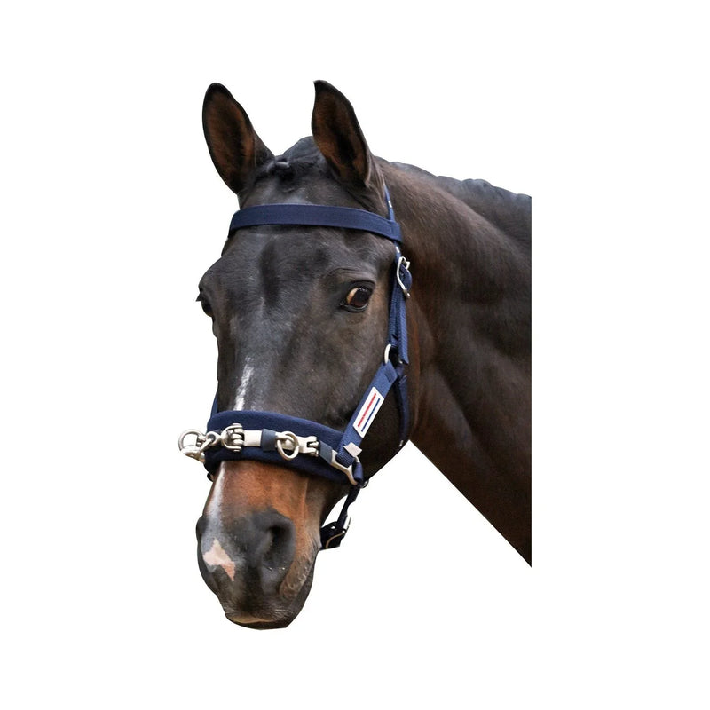 Whitaker Lunge Cavesson Navy Cob - Jalex Pet Products 