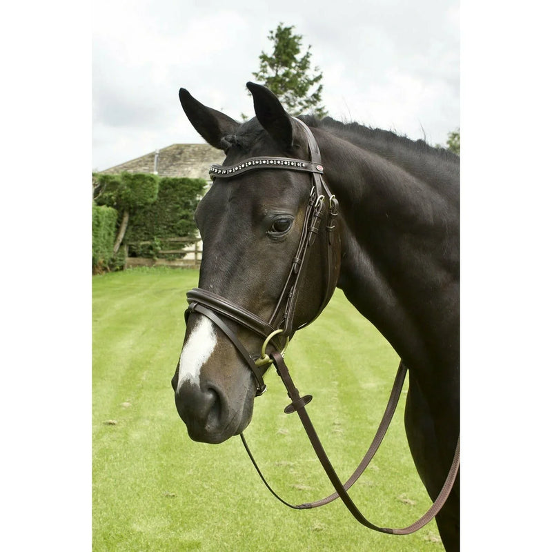 Whitaker Lynton Flash Bridle C/W Spare Browband Black - Jalex Pet Products 