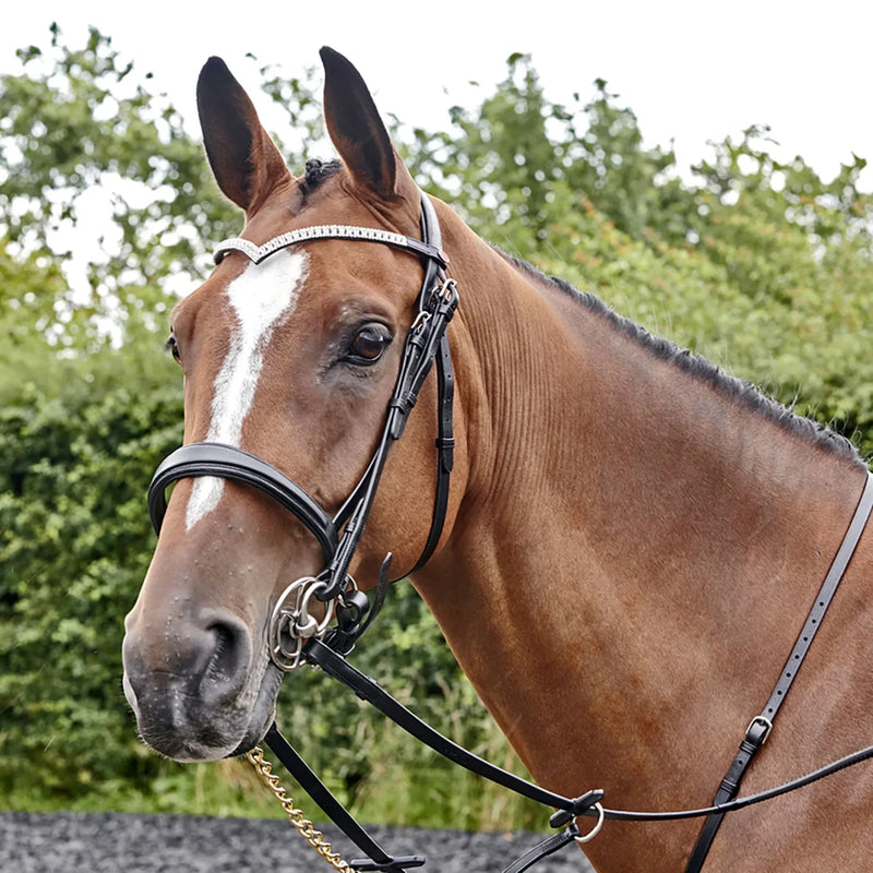 Whitaker Lynton Snaffle Bridle C/W Spare Browband - Jalex Pet Products 