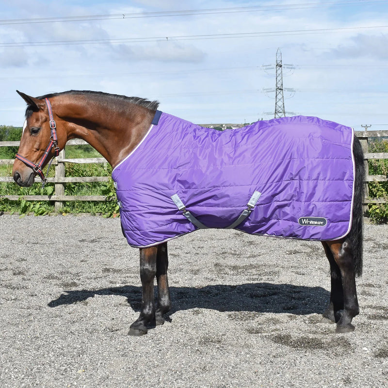 Whitaker Stable Rug Crompton 100 Gm - Various Colours - Jalex Pet Products 