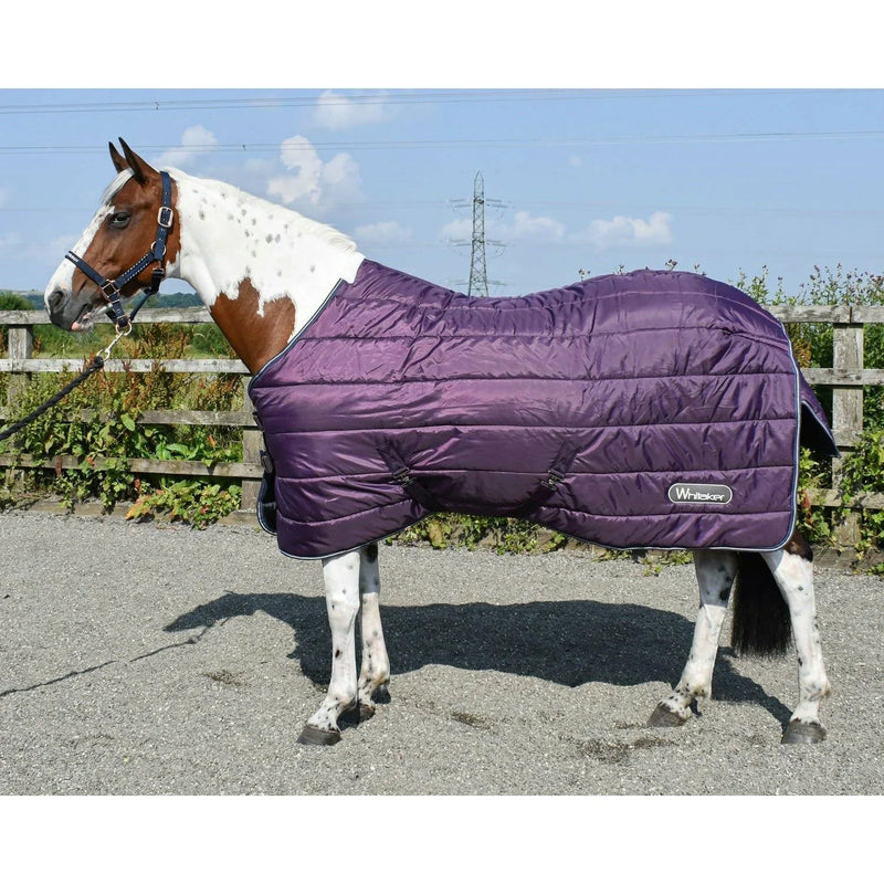Whitaker Stable Rug Thistle 200Gm Plum - Jalex Pet Products 
