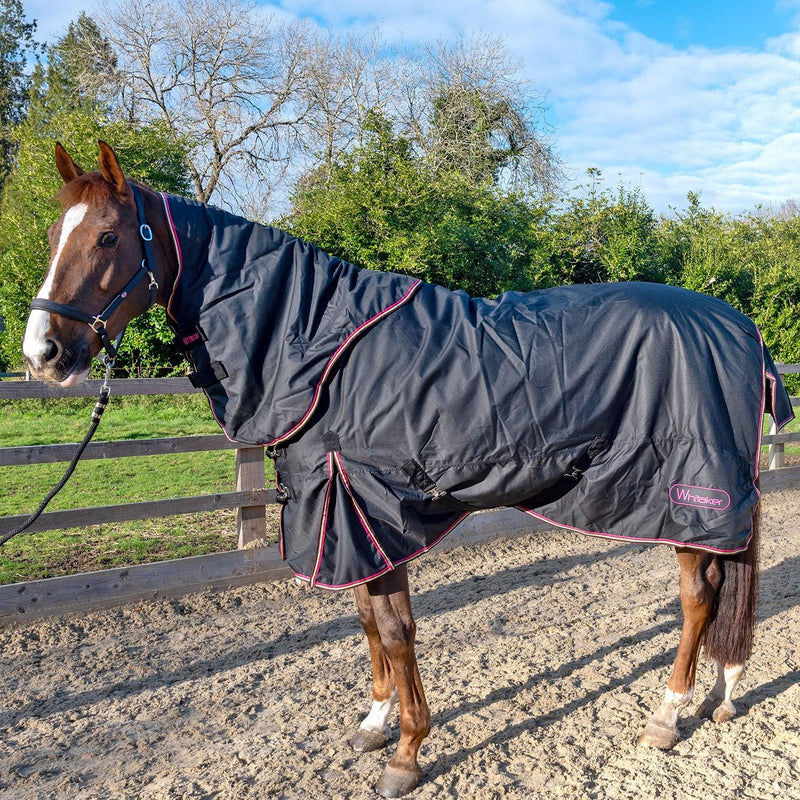 Whitaker Turnout Rug Witton Detachable Neck 200Gm - Jalex Pet Products 